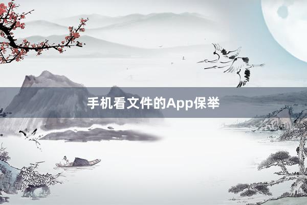 手机看文件的App保举