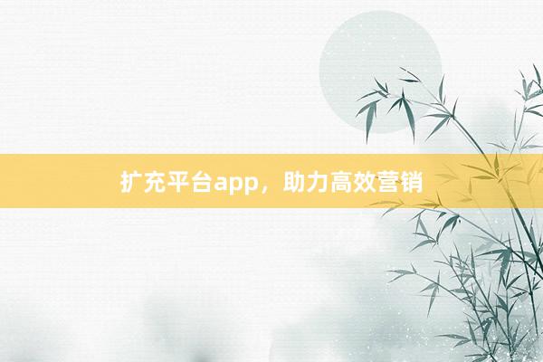 扩充平台app，助力高效营销