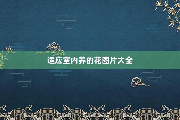 适应室内养的花图片大全